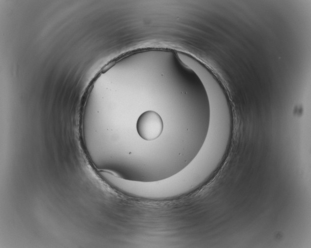 X0000112510896200909141157