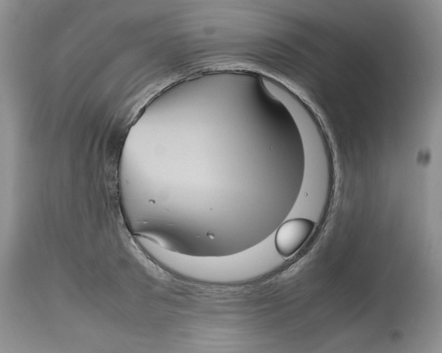 X0000112510897200909141157