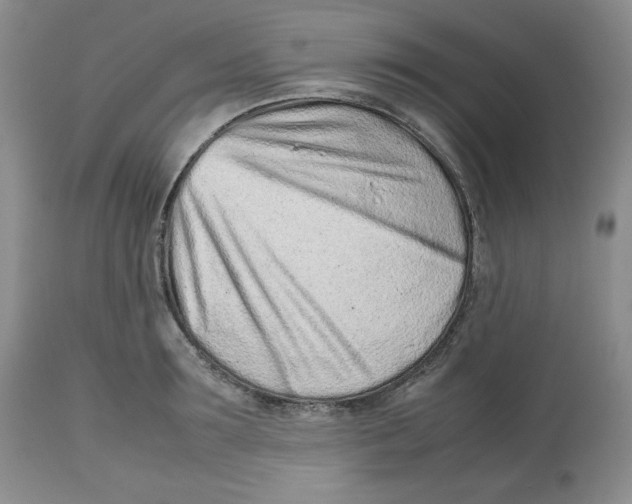 X0000112510899200909141157