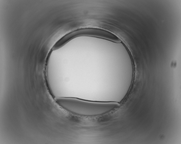 X0000112510901200909141157