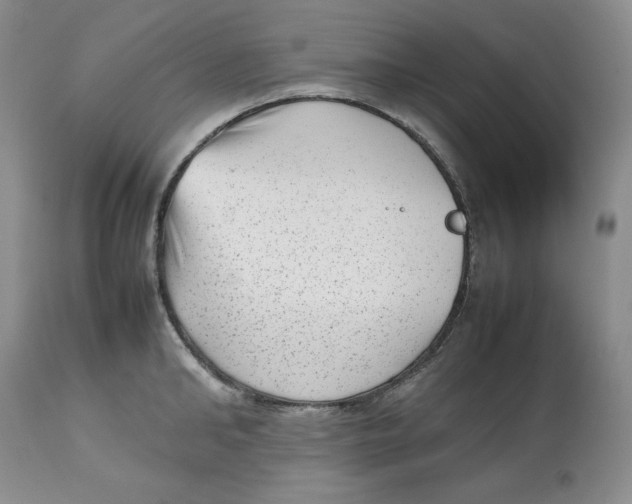 X0000112510902200909141157