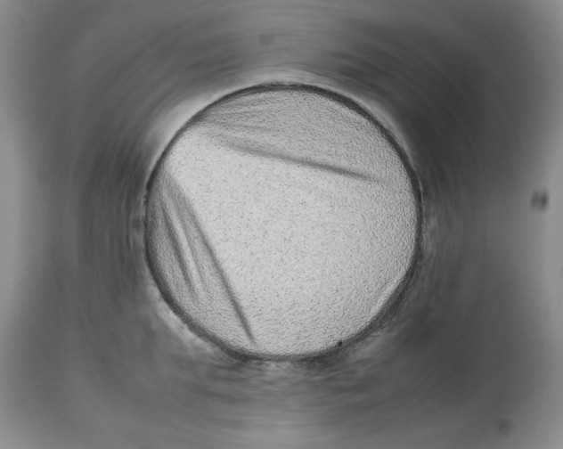 X0000112510903200909141157