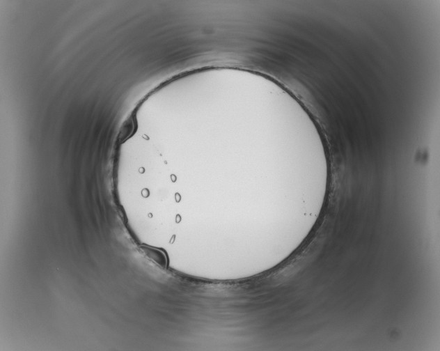 X0000112510904200909141157