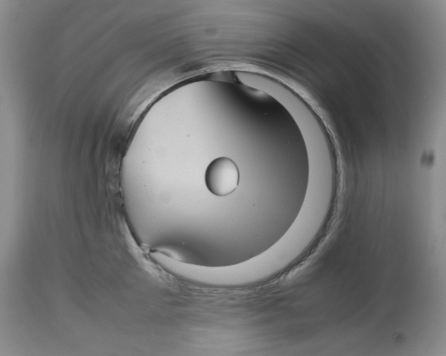 X0000112510905200909141157