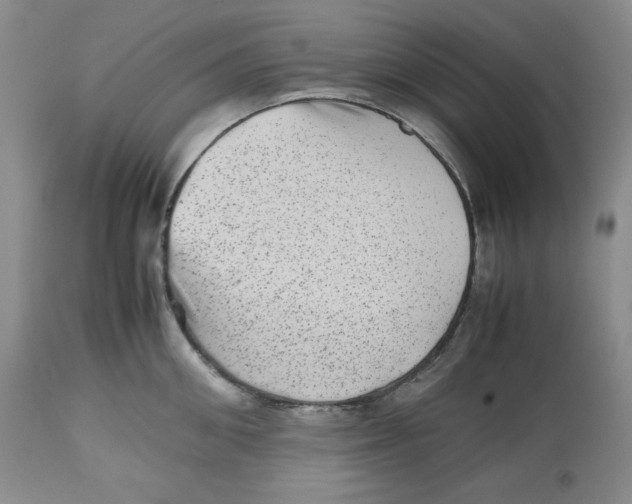 X0000112510906200909141157