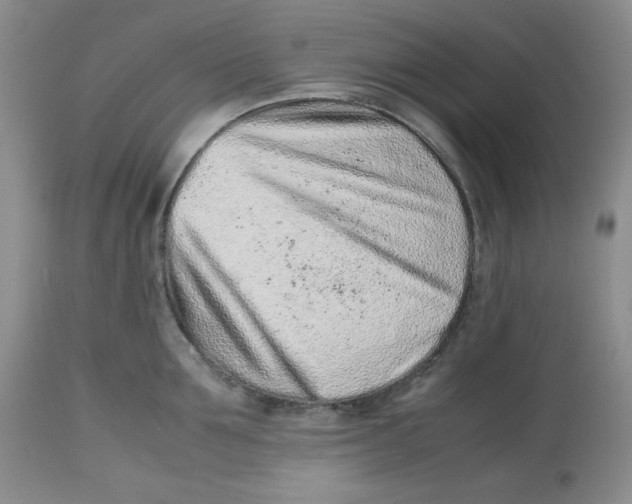 X0000112510907200909141157