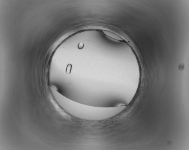 X0000112510909200909141157