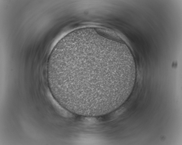 X0000112510911200909141156