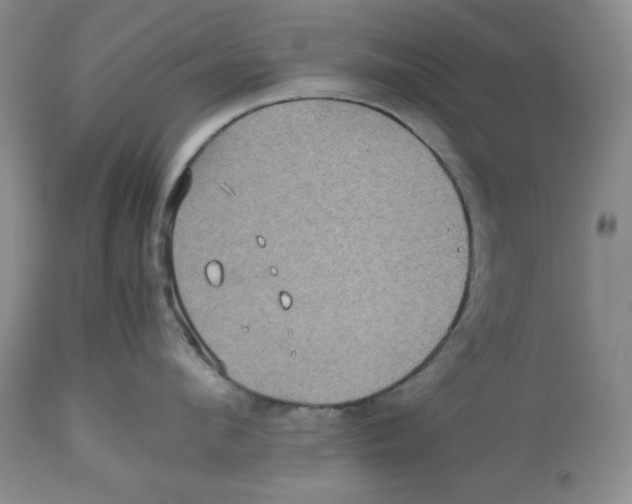 X0000112510912200909141156