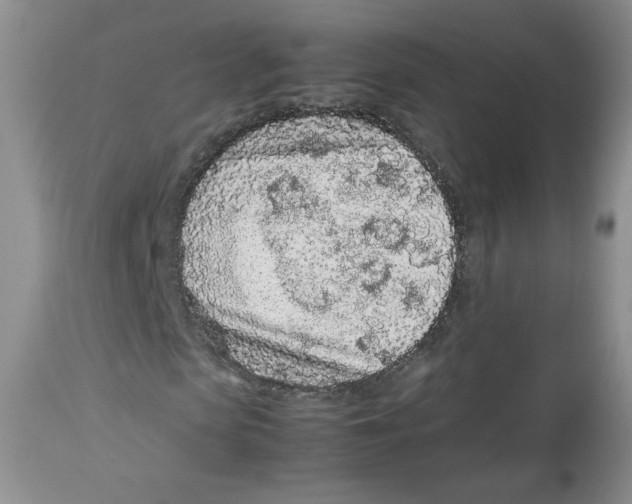 X0000112510913200909141156