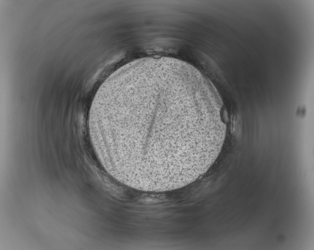 X0000112510915200909141156