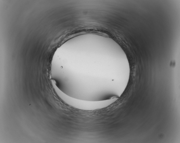 X0000112510916200909141156