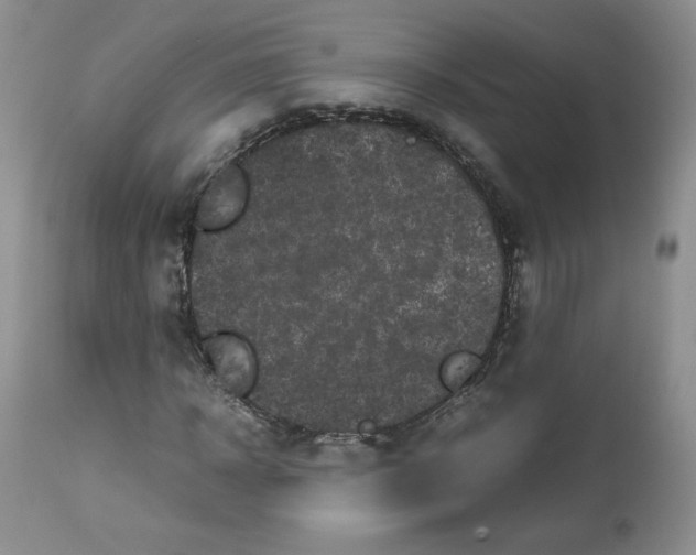 X0000112510918200909141156