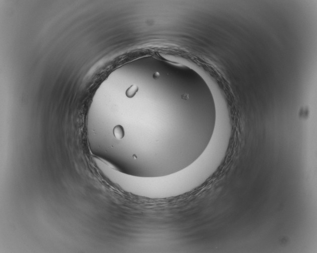 X0000112510920200909141156