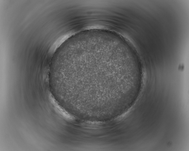 X0000112510921200909141156