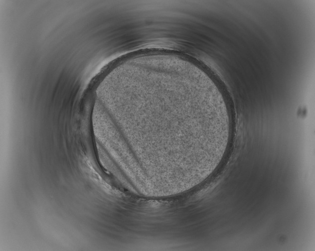 X0000112510923200909141156