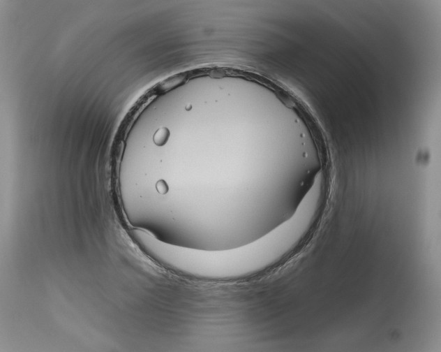 X0000112510924200909141156