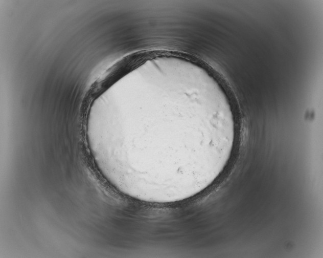 X0000112510925200909141156