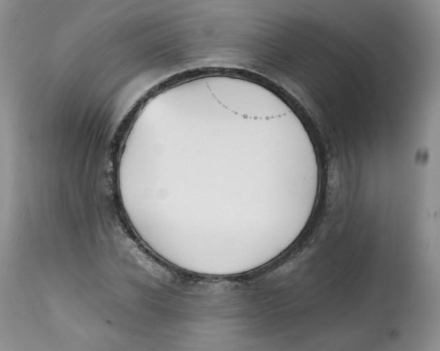 X0000112510926200909141156