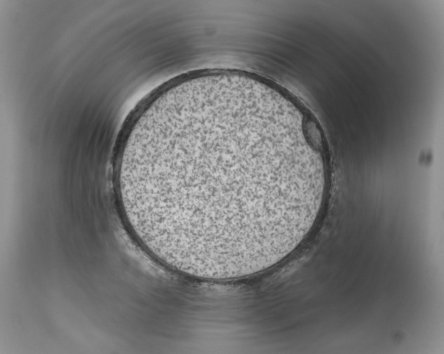 X0000112510928200909141156