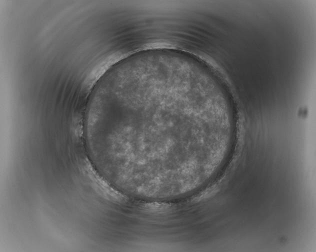 X0000112510929200909141156