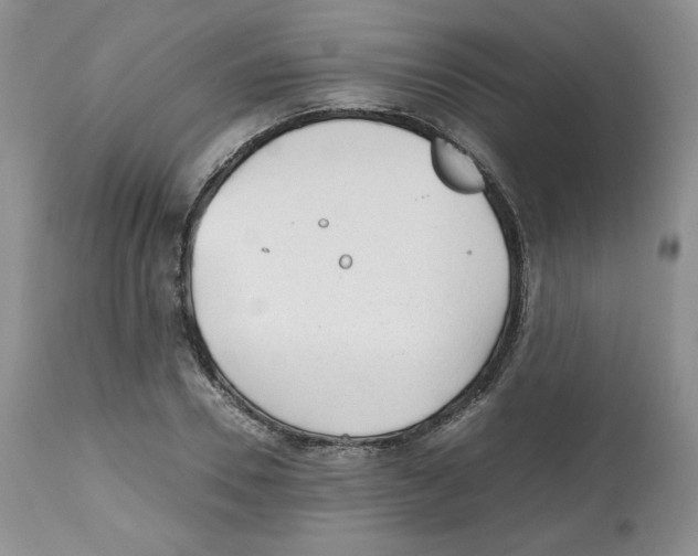 X0000112510930200909141156