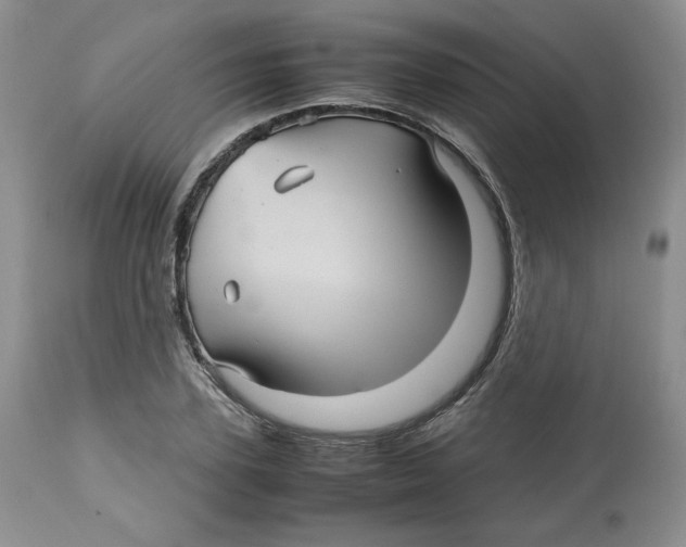 X0000112510931200909141156