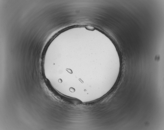 X0000112510932200909141156