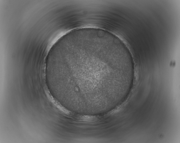 X0000112510933200909141156