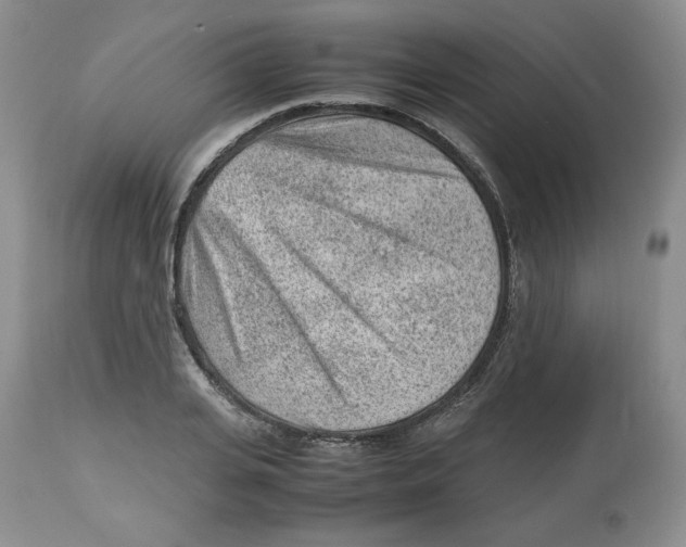 X0000112510935200909141156