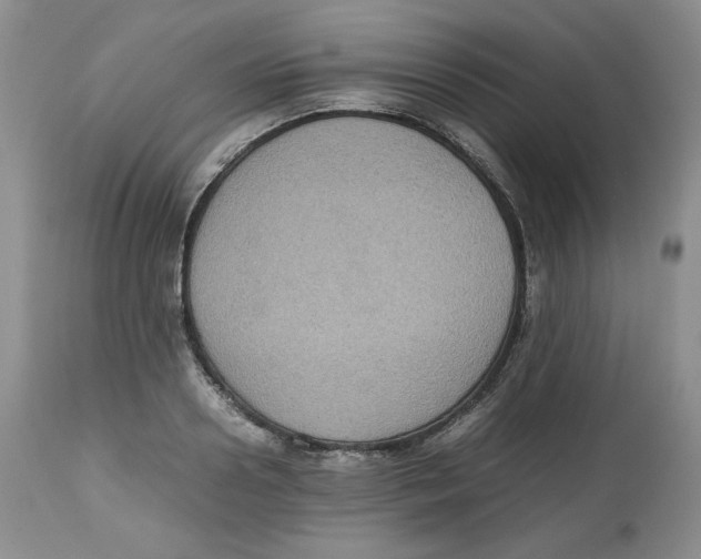 X0000112510938200909141156