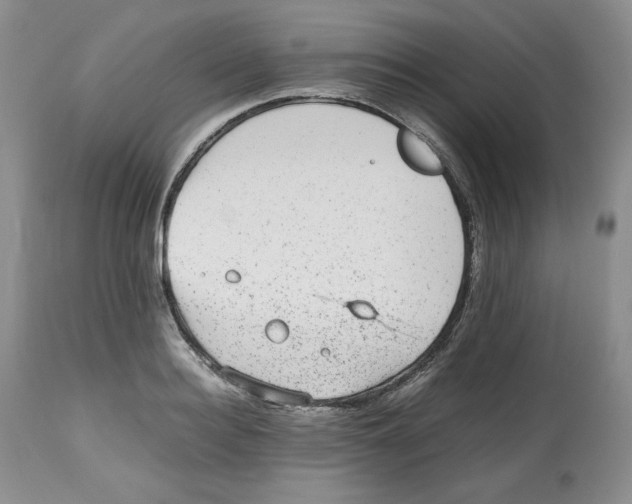 X0000112510940200909141156