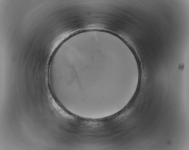 X0000112510941200909141156