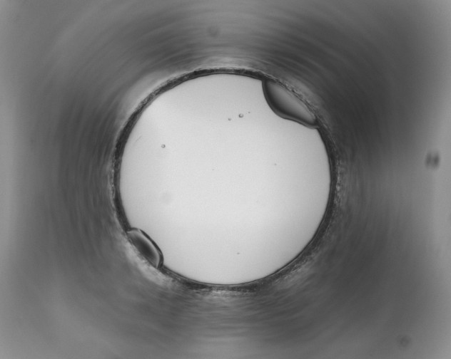 X0000112510942200909141156