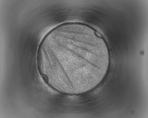 X0000112510943200909141156