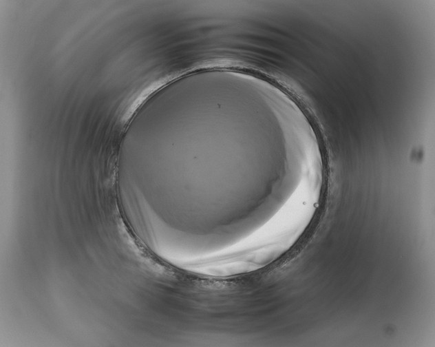 X0000112510945200909141156