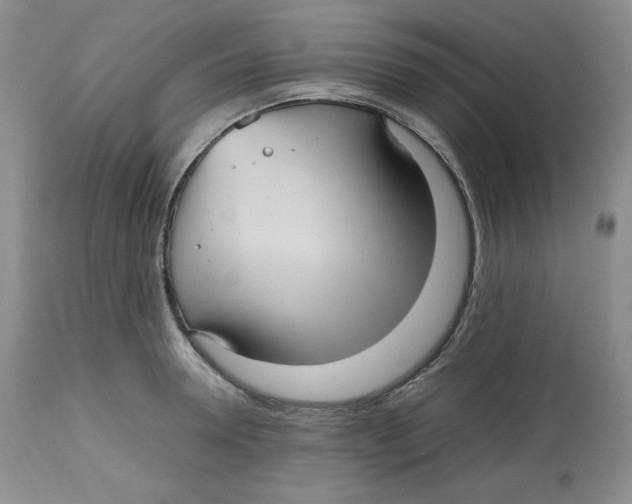 X0000112510946200909141156