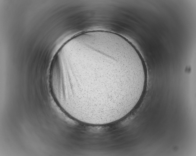 X0000112510949200909141156