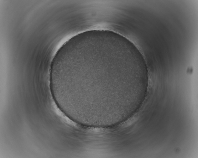 X0000112510950200909141156