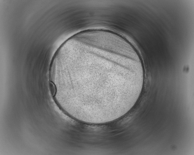 X0000112510951200909141156