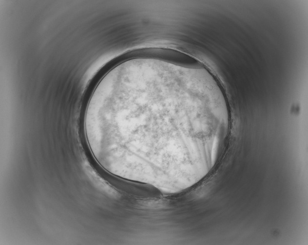 X0000112510952200909141156