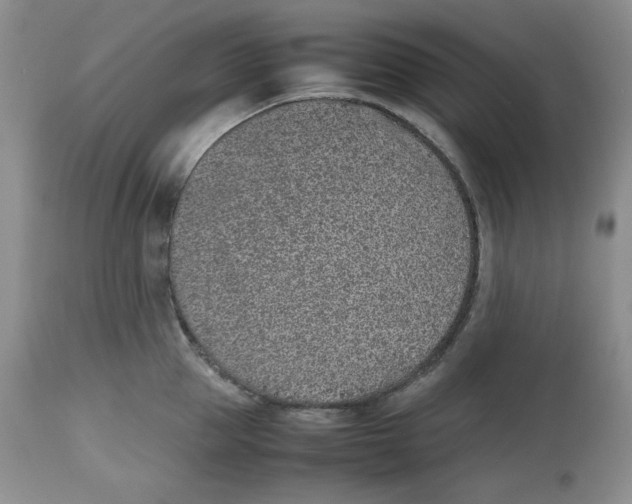 X0000112510953200909141156