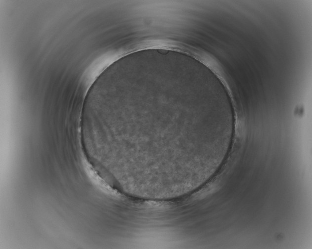 X0000112510954200909141156