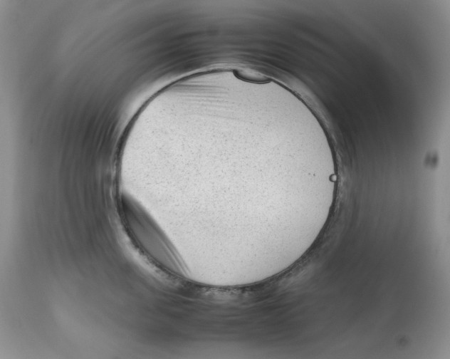 X0000112510955200909141156