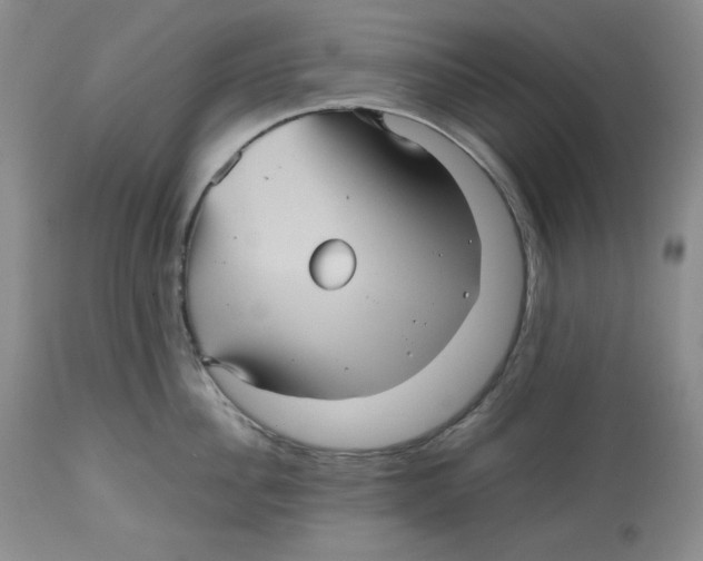 X0000112510956200909141156