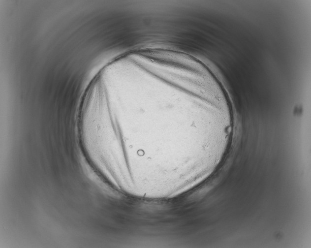 X0000112510957200909141156