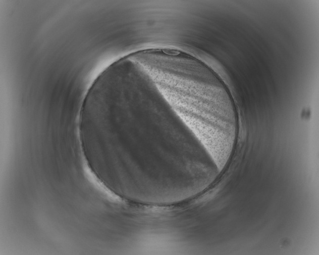 X0000112510958200909141156