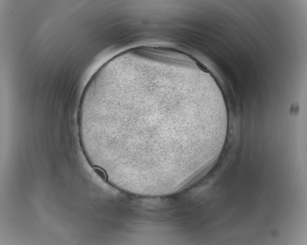 X0000112510959200909141156