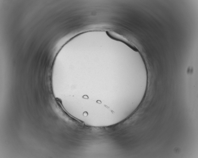 X0000112510960200909141156