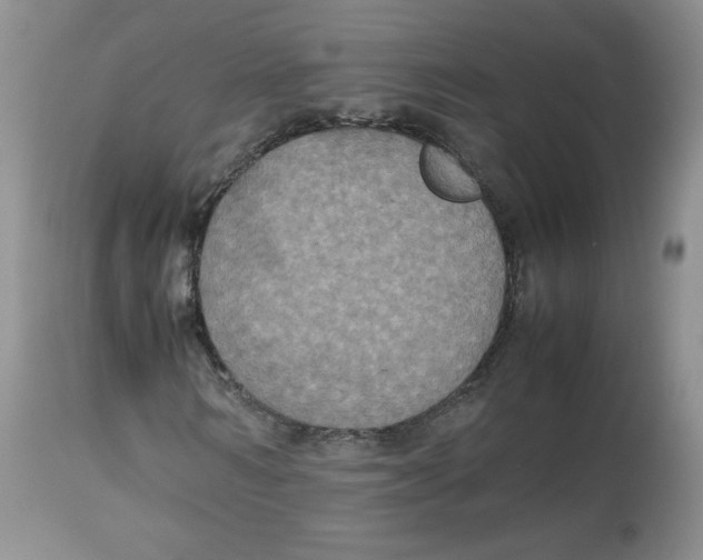 X0000112510962200909141156